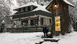 Žena premenila pahýľ 110-ročného stromu na čarovnú malú knižnicu