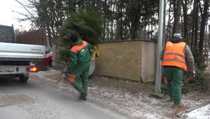 Tretie najväčšie slovenské mesto začalo so zberom vianočných stromčekov