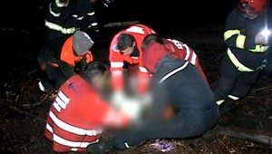 Peter (†42) zomrel v lese, mal ho zavaliť strom