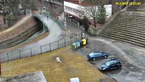 Rodičia detí, ktoré zabili plameniaka, sa ospravedlnili