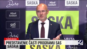 Tlačová beseda strany SaS k predstaveniu programu