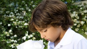 Jar väčšinu ľudí teší. Inak to vidia alergici, peľ je neúprosný