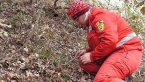 Otrasný nález. V hore narazili na ľudskú nohu a kosti!