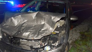 Opitý vodič zrazil lesnú zver. Za volant si nemal sadnúť ešte niekoľko rokov