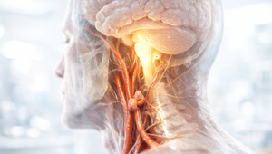 Nahliadli do mozgu myší. Čo našli, môže pomôcť miliónom ľudí