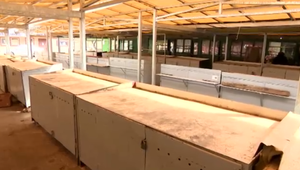 ÚVZ vydal nové vyhlášky, zmeny sa dotknú trhovísk či zahraničných ciest