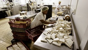 V Normandii prežíva posledná farmárska výroba camembertu