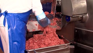 Krajiny okolo Slovenska bojujú s prasacím morom. Hranice sú pod prísnou kontrolou