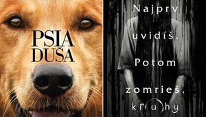 Psia duša je novinkou v kinách pre všetky vekové kategórie. Silnejšie povahy môžu dať prednosť hororu Kruhy.