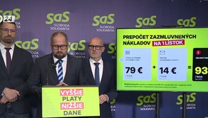 Tlačová beseda strany SaS: Štát prerába milióny