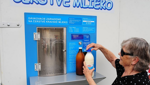 Pozor na kvalitu mlieka a mäsa: Odborníci radia, kedy je konzumácia bezpečná a čo treba dodržať