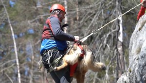 Horskí záchranári špeciálne cvičia psov. V Slovenskom raji trénovali spojenie psovoda a dronov