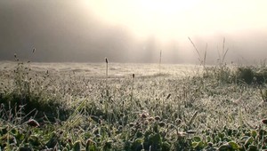 Meteorológovia varujú pred prízemný mrazom. Výstrahy platia takmer pre celé územie Slovenska