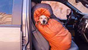 FOTO: Život na štyroch labkách nemusí byť pod psa. Zvlášť na cestách