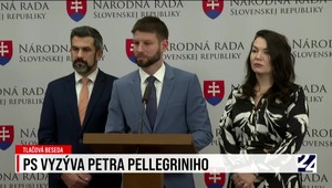 Tlačová beseda Progresívneho Slovenska k výzve Petrovi Pellegrinimu