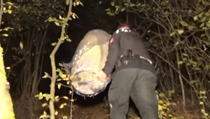 Po náleze sudu v Domaši polícia vyšetruje prípad usmrtenia