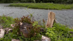 Muž chcel skultúrniť krajinu. Teraz mu hrozí trest