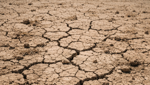 Sucho zasiahlo veľkú časť Slovenska. Vinohrady aj polia trpia, dážď je v nedohľadne