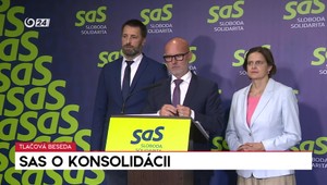 Tlačová beseda SaS o konsolidácii