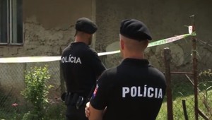 V minulosti bol 11-krát trestaný, matke sa vyhrážal zabitím. Vyhrážky splnil deväť dní po prepustení z väzenia
