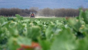 Jedna parcela a 15 spoluvlastníkov. Poľnohospodári a samosprávy volajú na poplach, chcú pozemkovú reformu