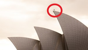 Ako PRVÝ na svete urobil salto vzad na ikonickej budove