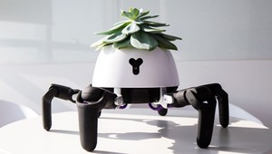 Najnovší zázrak technológie: Samostatne chodiaca kvetina