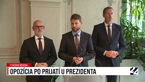 Tlačová beseda opozície po prijatí u prezidenta