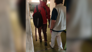 Muž s japonskou katanou sa v nemocnici na Antolskej vyhrážal personálu zabitím