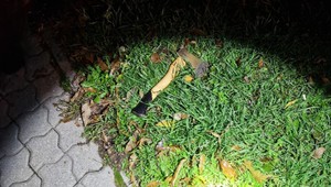 V uliciach mesta sa pohyboval muž so sekerou. Na výzvy policajtov nereagoval, museli zakročiť inak