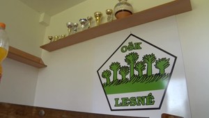 Ihrisko, na ktorom nesúperia hráči o loptu, ale právnici o nájom