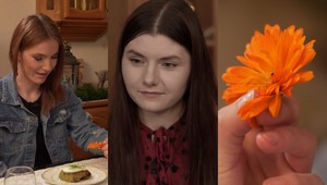 Príroda u Veroniky nikoho neprekvapí: Ako však hostiteľka vysvetlí CHROBÁKY v jedle?