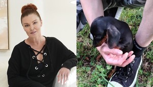 Elena PODZÁMSKA sa pochválila krásnou novinkou: Predstavila nového štvornohého člena rodiny