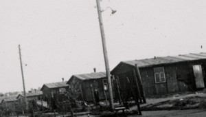 V šiestich rokoch v Bergen-Belsene