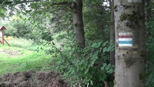 Stratil sa v lese a ocitol sa v inom štáte. Muža hľadali mestskí policajti