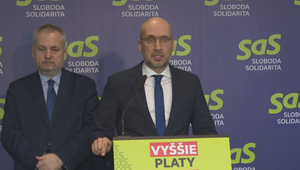 Tlačová beseda strany SaS o "zákone pomsty" a zdražovaní ropy