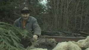 Riaditeľa centra voľného času odsúdili za krádež zvierat