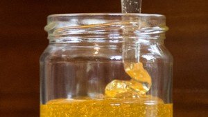 Za med si priplatíme: Včelári hlásia veľký úhyn včiel