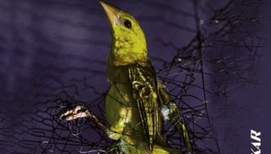 Strhujúci a strašidelný triler Schopní všetkého: Kriminálny debut roka vás dostane!