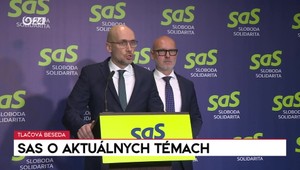 Tlačová beseda SaS o aktuálnych témach