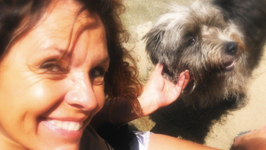 Česká herečka prosí o pomoc! Napadli ju pitbuly, trvalé následky zmenili jej život!