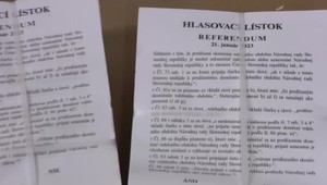 Prípravy na referendum vrcholia. Pôjde o deviate ľudové hlasovanie
