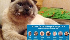 Obyvatelia sibírskeho mesta chcú za starostu kocúra, získal 90 percent hlasov