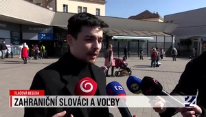 Tlačová beseda o zahraničných Slovákoch a voľbách