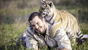 Koleník v ohrožení? Na natáčení ZOO po něm skočila tygřice!