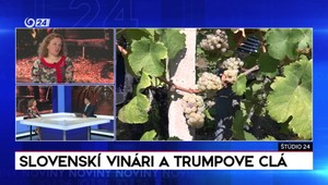 Štúdio 24: Slovenskí vinári a Trumpove clá