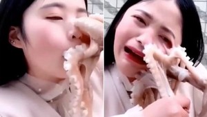 Hlavný dôvod, prečo môže byť konzumácia chobotníc smrteľná