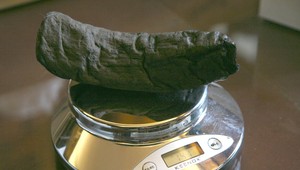 Umelá inteligencia rozlúštila 2000-ročné spálené zvitky