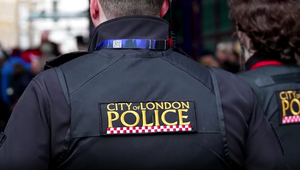 Mladík chladnokrvne zabil dve mačky. Priznal, že mal túžbu vraždiť ľudí