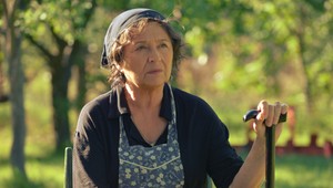 Tento rok prišlo do kina na slovenský film už MILIÓN divákov!